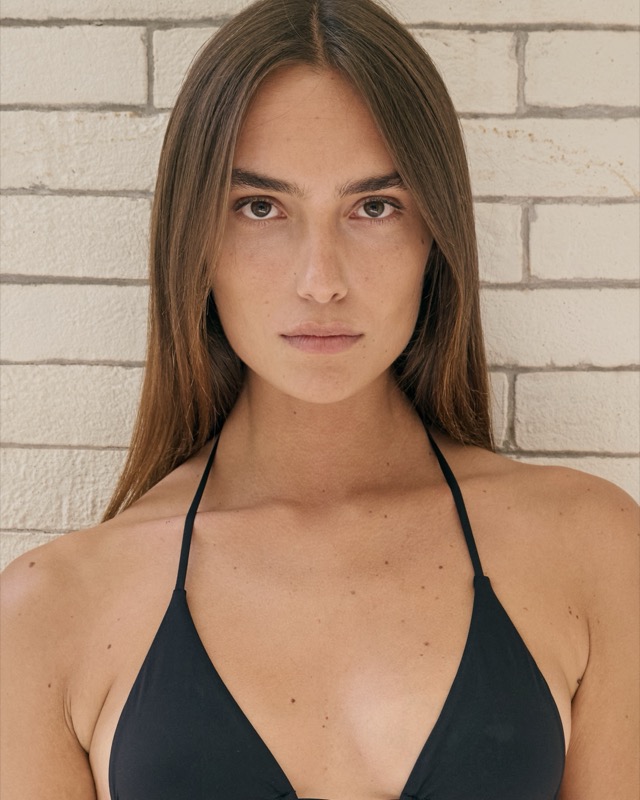 Face, front reference